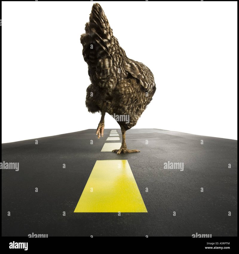 De Populaire Gokkast van Chicken Road: Gaan je Geld Winnen? - overview